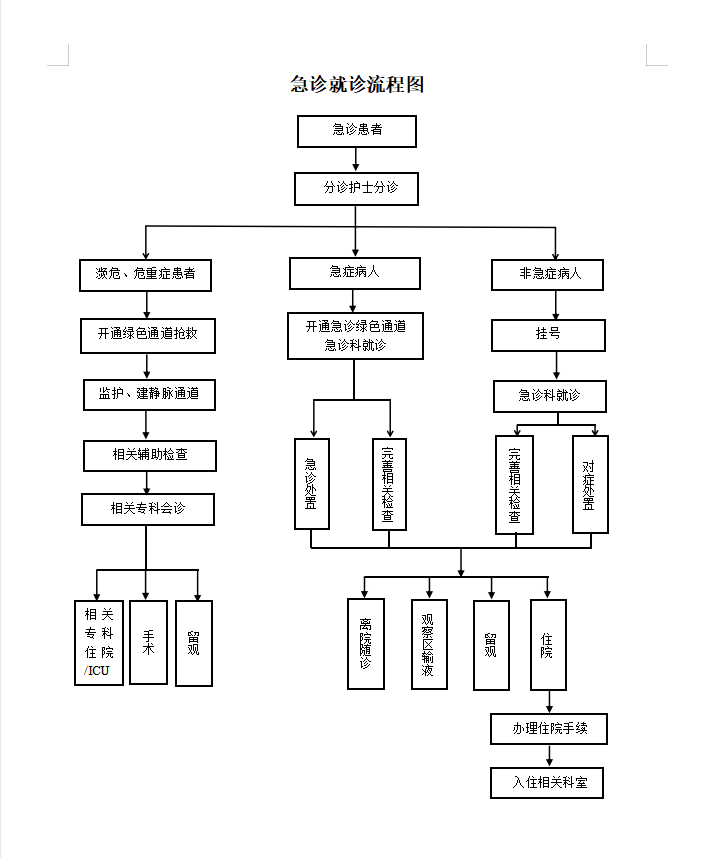 急诊流程图