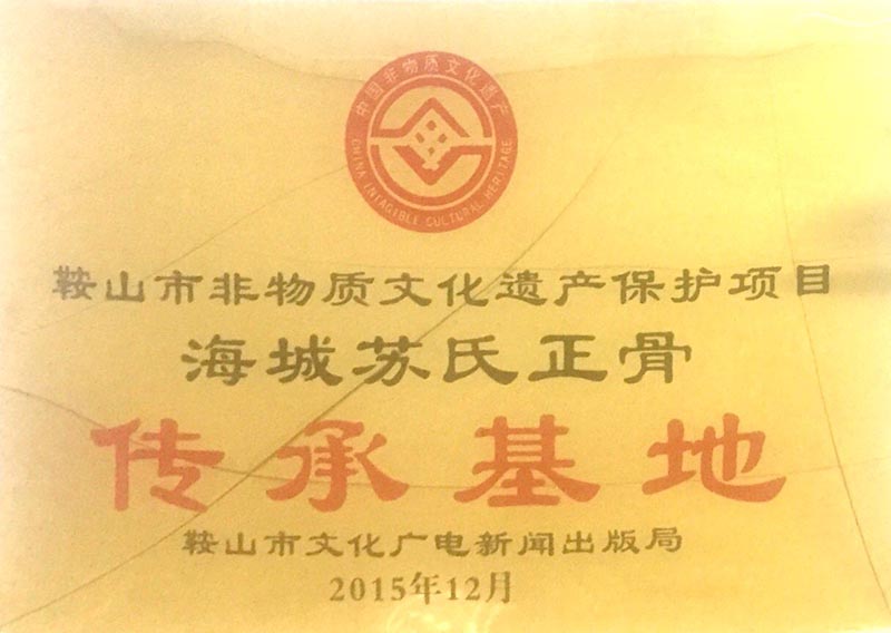 鞍山市非物质文化遗产保护项目海城苏氏...